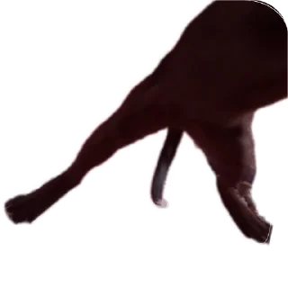 🧵 ᅠᅠ, стикер Telegram 8 из 32