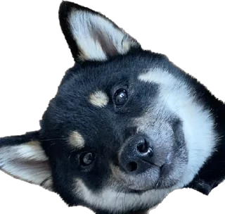 ☺️ Yuki, стикер Telegram 11 из 47