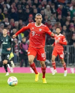 🌟 Leroy Sane, sticker Telegram 8 sur 11