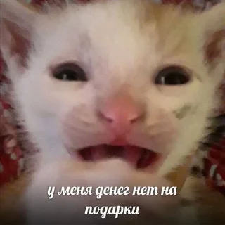 🌟 ахах)), стикер Telegram 13 из 119