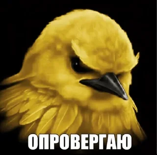 Птички