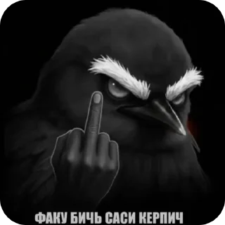 🌟 🐦‍⬛ птички, sticker Telegram 18 sur 119