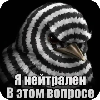 🌟 🐦‍⬛ птички, sticker Telegram 21 sur 119