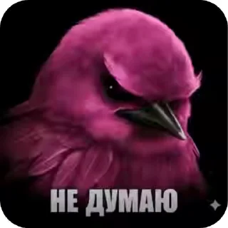 🐦‍⬛ 🐦‍⬛ птички, sticker Telegram 15 sur 119