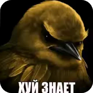 🐦‍⬛ 🐦‍⬛ птички, sticker Telegram 10 sur 119
