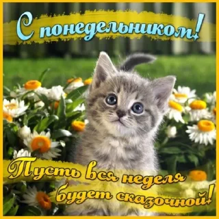 🤩 открытки, sticker Telegram 16 sur 22