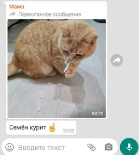 🌟 для нас, стікер Telegram 7 з 35