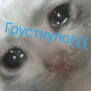 😢 Легендарно угарные стикеры, Telegram sticker 18 of 18