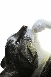 hm.