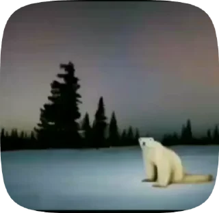 ❄️ 2026 =), стікер Telegram 9 з 11