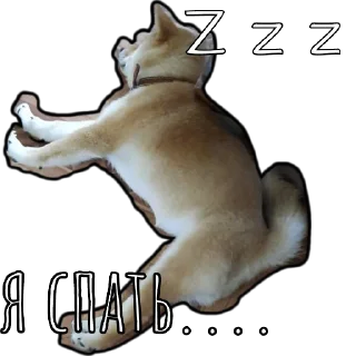 🌕 Шибаинка, Telegram sticker 19 of 20