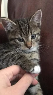 😶 Последняя дискотека❤️(by @tayaays), стикер Telegram 10 из 14
