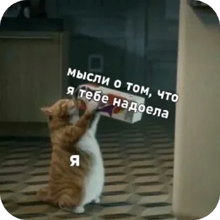 🫥 Мемы и Коты, стікер Telegram 21 з 32