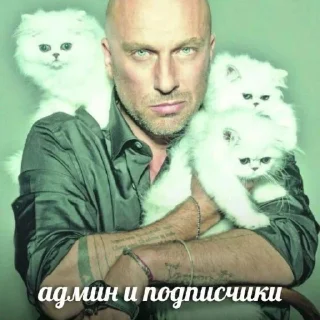 🤩 Карло @MoiStikiBot, стикер Telegram 22 из 106