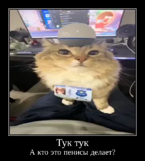 ⚡ Куча Лун :: Автор:@Skuerny, sticker Telegram 22 sur 120
