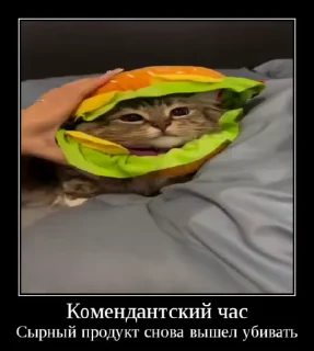 ⚡ Куча Лун :: Автор:@Skuerny, sticker Telegram 15 sur 120