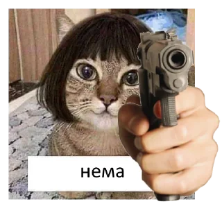 😤 йой, най буде @ukrainiatrash, Telegram sticker 9 of 19