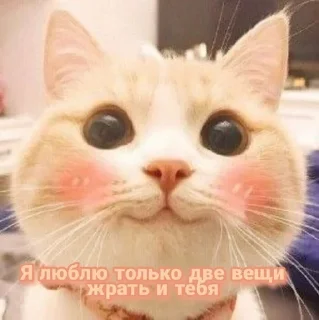 😘 ., стикер Telegram 14 из 45
