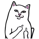 🖕 @TVstickers Crazy, Telegram sticker 21 of 74