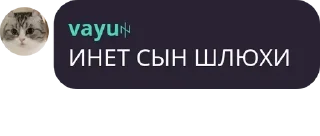 🙅‍♀ сергей lore, sticker Telegram 13 sur 21