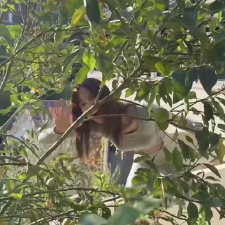 @lalals7