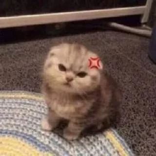 🌟 Крута, Telegram sticker 12 of 72