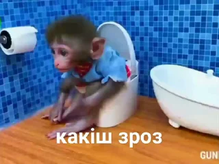 🐒 👰🏿‍♂️, стікер Telegram 10 з 42