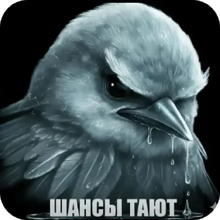 🐦 Вряд ли, стікер Telegram 16 з 120