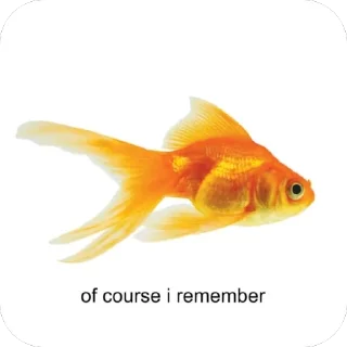 🐟 Only for close people, стикер Telegram 14 из 14