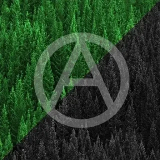 🌲 ПОРА @project_pora, Telegram sticker 17 of 120