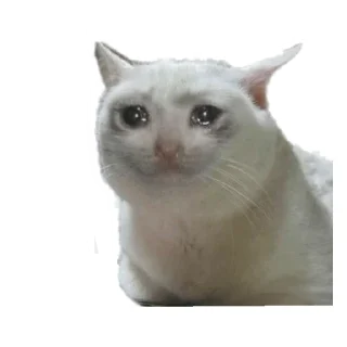 🥺 порно, Telegram sticker 12 of 19