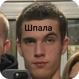 💇 Бездари и лысые, sticker Telegram 11 sur 20