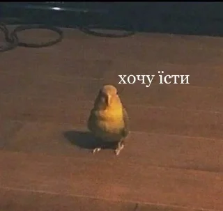 🥟 ✨ українське ✨, стикер Telegram 14 из 16