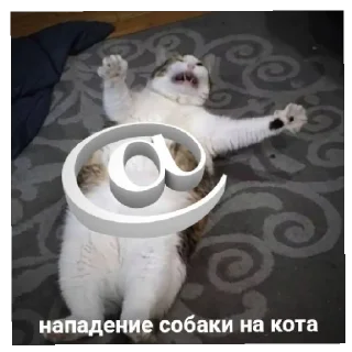 😱 уебищные стикеры 2.0, Telegram sticker 22 of 58