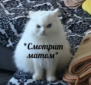 🌟 хиличурл колдует чебоксары, Telegram sticker 7 of 60