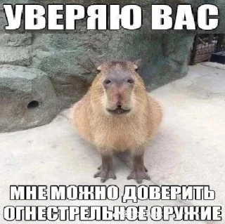 😎 Чифмиф баллэн, sticker Telegram 8 sur 119