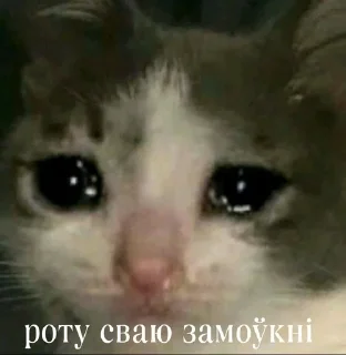 🌟 Инсульт, sticker Telegram 6 sur 84
