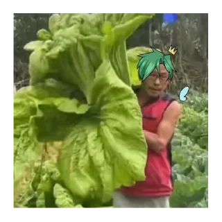 🥬 Фея Космо, sticker Telegram 5 sur 25