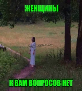 🌟 мой вайбик, стикер Telegram 5 из 95