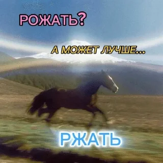 мой вайбик
