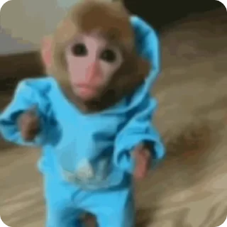 🌟 Бибизяны, стікер Telegram 6 з 17
