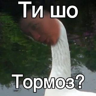 Йой, 2022