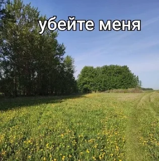 🍓 Просто щп, sticker Telegram 24 sur 120