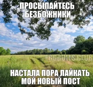 🌟 Щп вхитееее, стикер Telegram 8 из 50