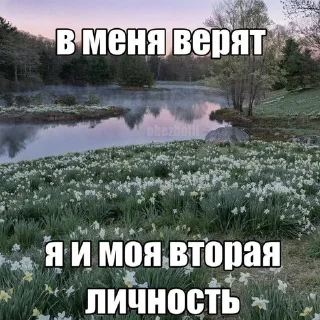 🍓 Просто щп, sticker Telegram 8 sur 120