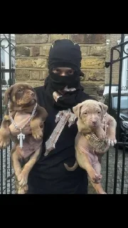 💓 CCfuckd🇵🇱, стикер Telegram 10 из 25