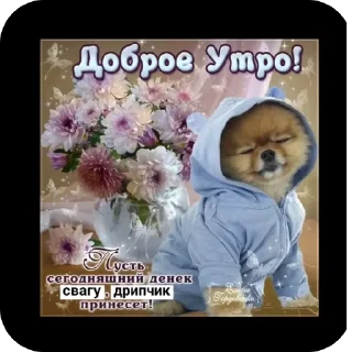 ❤ Боже храни свагу, Telegram sticker 18 of 47