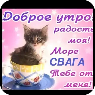 ❤ Боже храни свагу, Telegram sticker 22 of 47