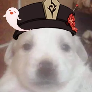 🐶 Моськи из геншин by @gihsrstic, sticker Telegram 19 sur 24