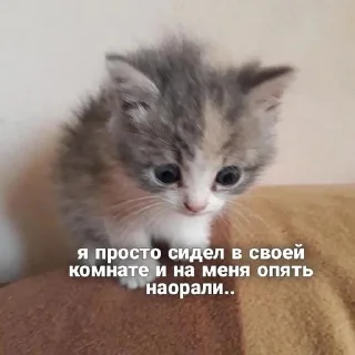 🗿 как жить, стікер Telegram 22 з 26